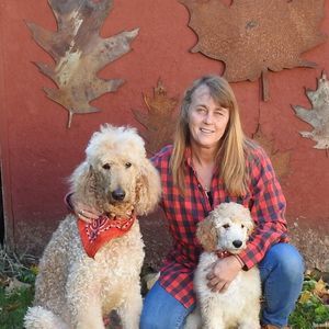 Meet your Posher, Dar